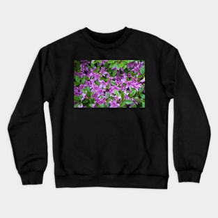 Azaleas Crewneck Sweatshirt